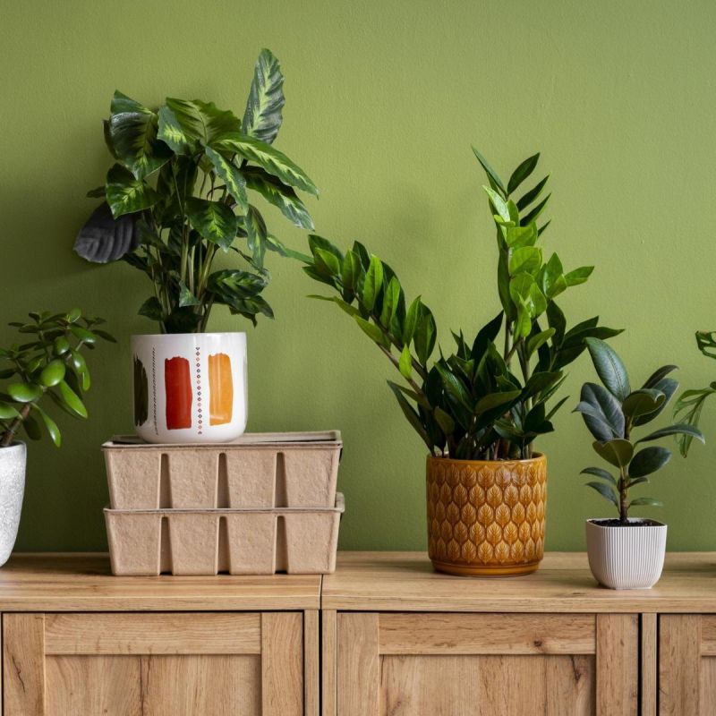 ��� ������ �������� ������� ������ �� �����������?