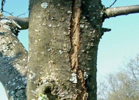 ������ ���������� ���� ������ � ��� ������ ������ ������ � ����������