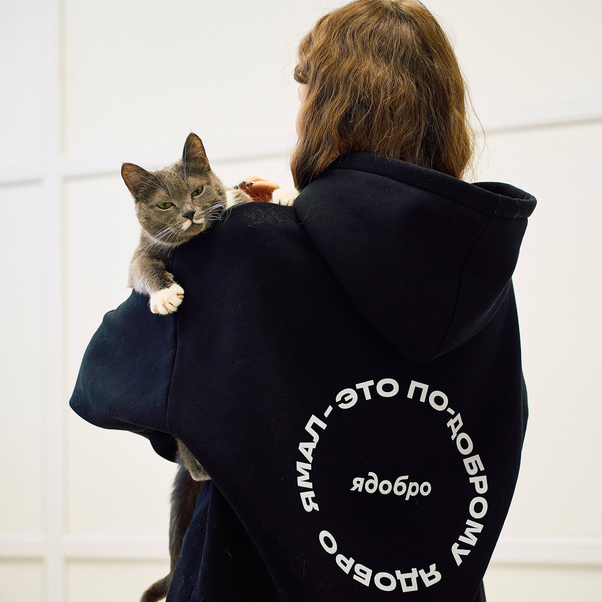 Большая помощь маленькому другу — это просто!