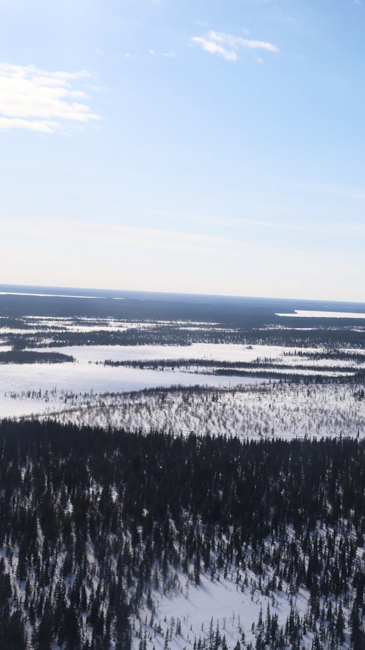 А ваше устройство уже готово встретить весну? А ваше устройство уже готово встретить весну?
