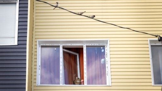 ������ �� ����� �������� � �������� ��������