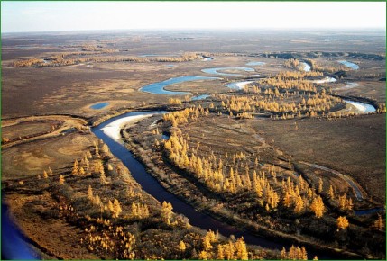 ������ ��������� ������� ����� ��� �������� ������ �� ������� ����� ���������� ����������� ��������