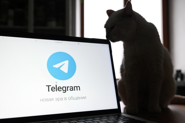 Депутат Свинцов: Telegram приравнен к запрещённым соцсетям в России
