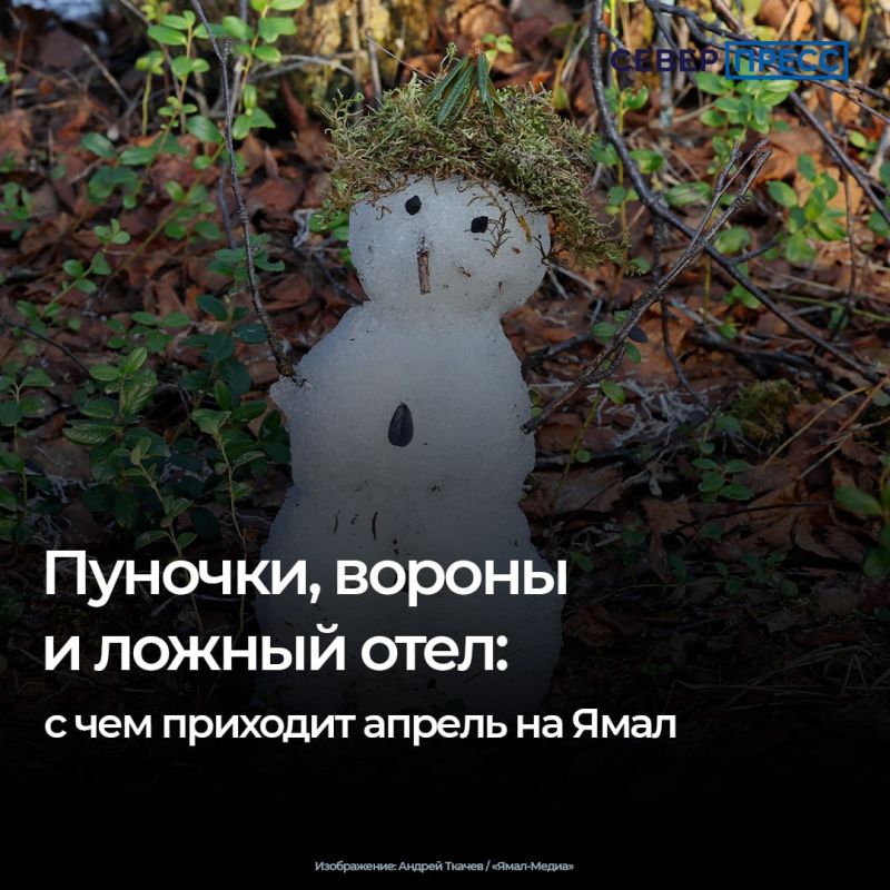 � ������� � �������� �������, ������������, �������� � �������������� ������ ��������� ������� ��������� ������, �������� � ������