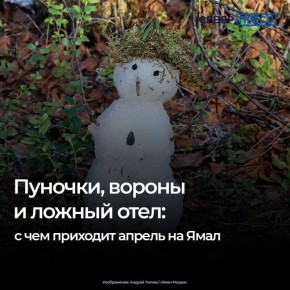 � ������� � �������� �������, ������������, �������� � �������������� ������ ��������� ������� ��������� ������, �������� � ������