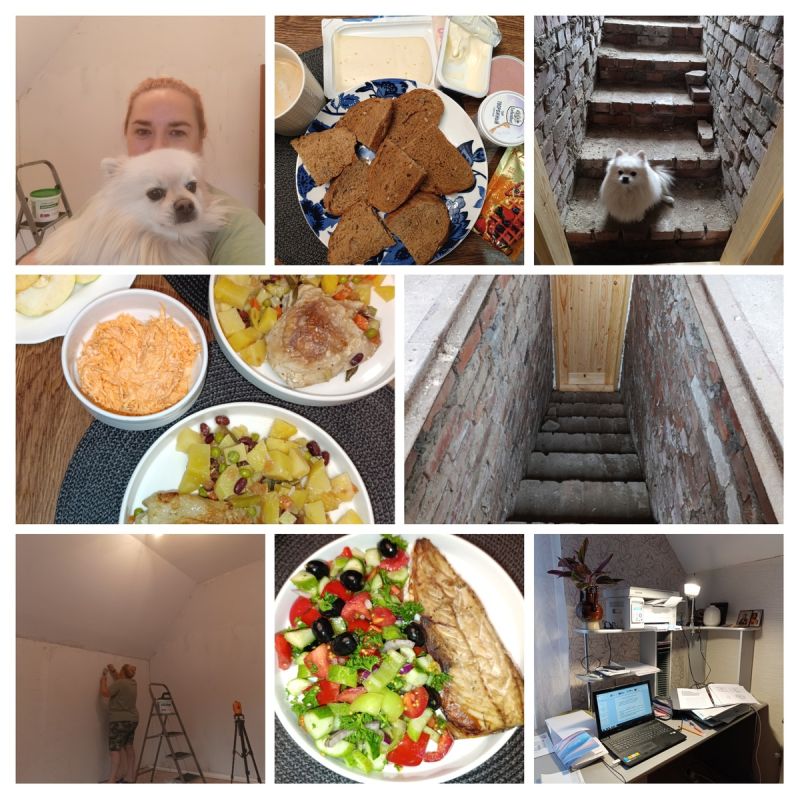 ������������ ����������� � ���������� ����