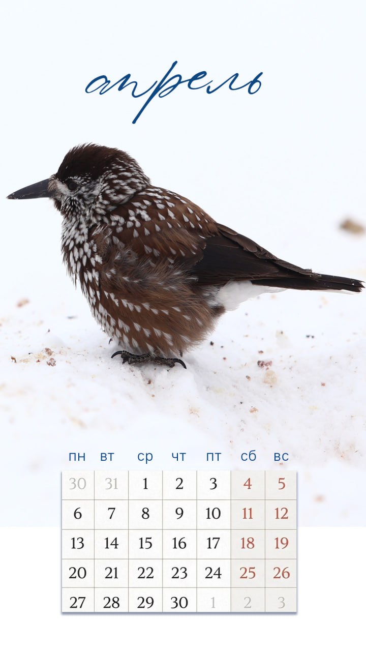 А ваше устройство уже готово встретить весну? А ваше устройство уже готово встретить весну?