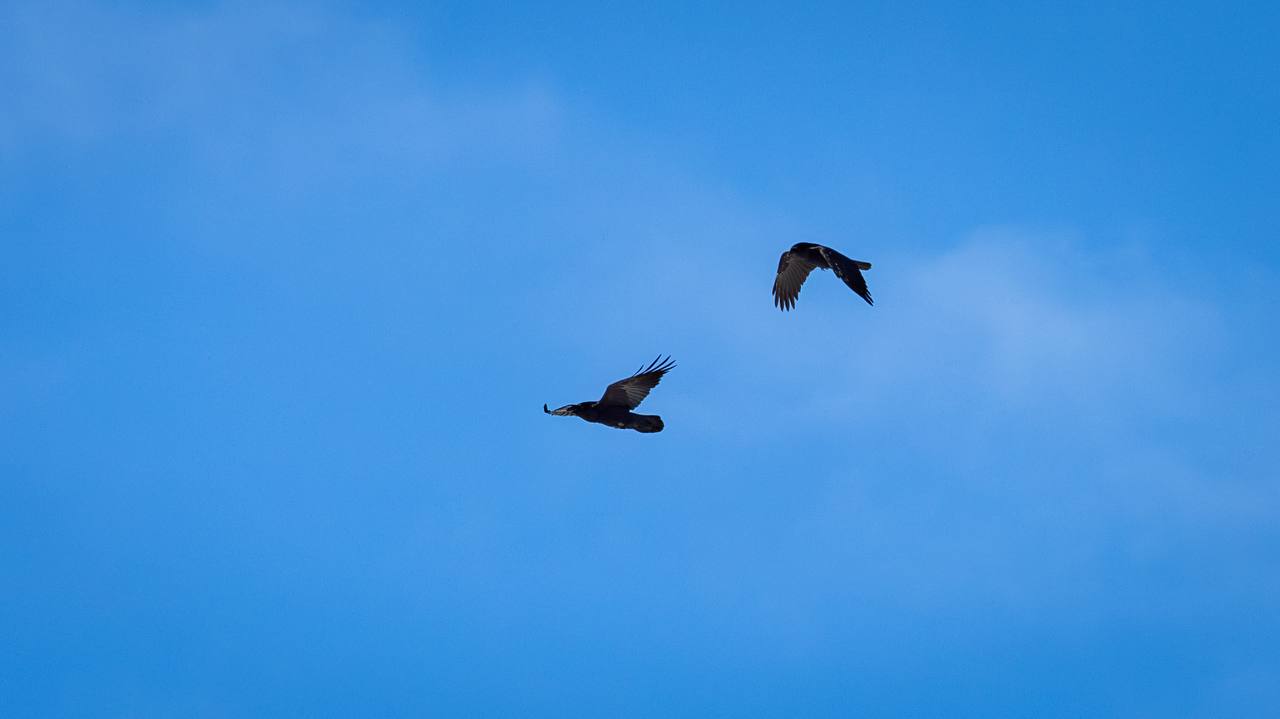 Салехардская весна — тишина, в которой слышно, как тает лёд Салехардская весна — тишина, в которой слышно, как тает лёд
