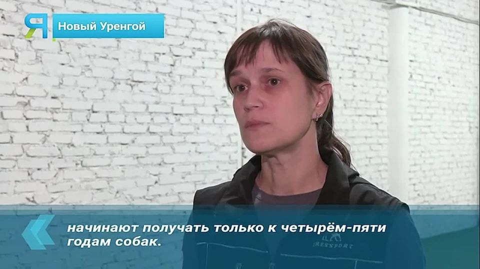 � ����� ������� ���������� ������ � ���������� �������������