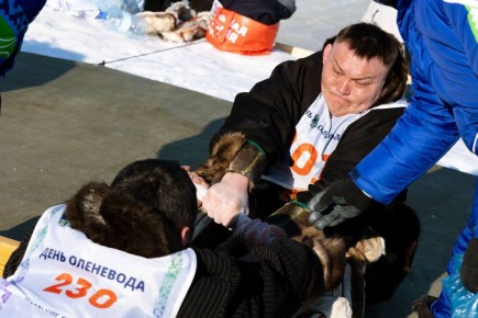 �������� �������� � ������� ����