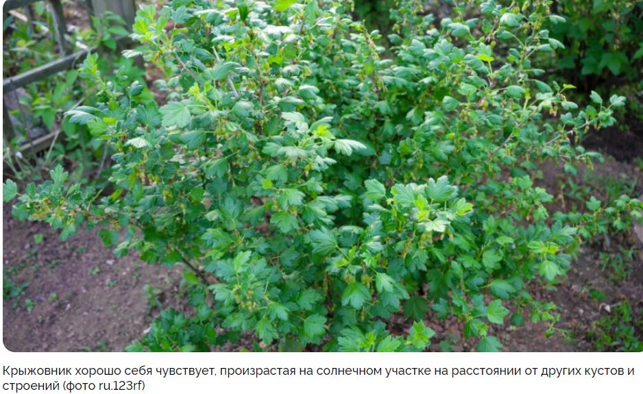 ��� �������� ��������� � ���������� ��� ���������� ����