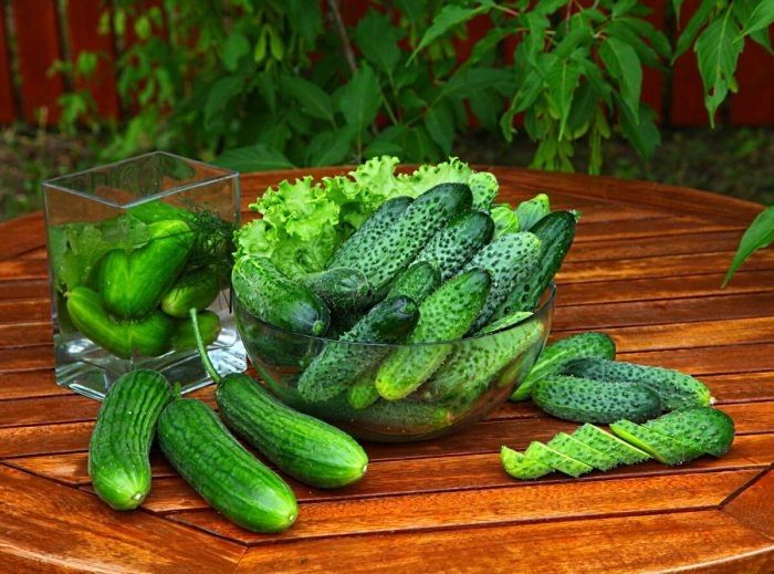 ������������ �������: ��������� ������ ��� ����������� ����