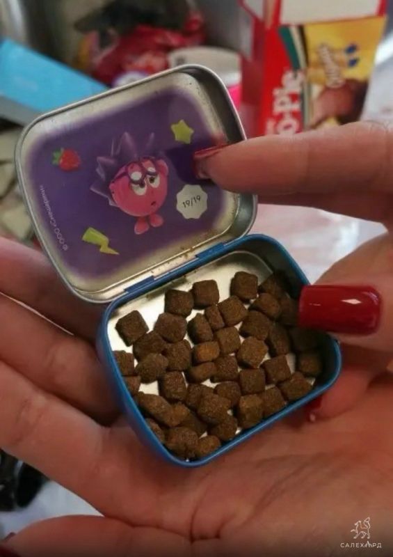 ��������� ������ ������ ������ � ������ ����� ��������������