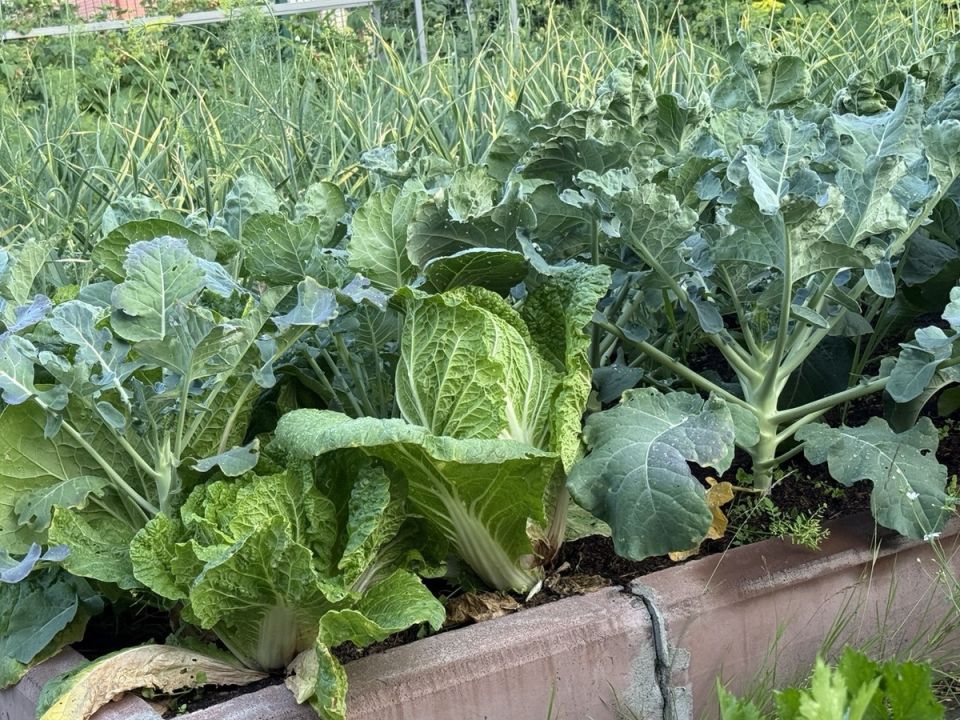 ��������� �������: ������� �������� � ��������� �����������