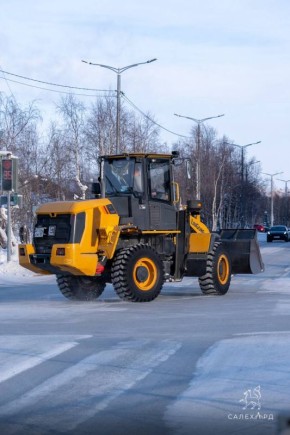 ������� ������������ ������ ���� ������� ���� � ���������� ���������� �� ��������� �������: