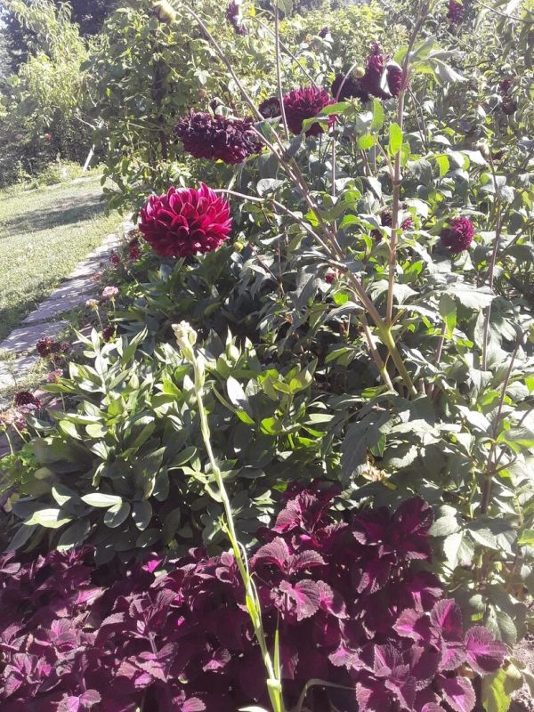 ��� �������� ���������: ������� �������� ������� � ����� ����