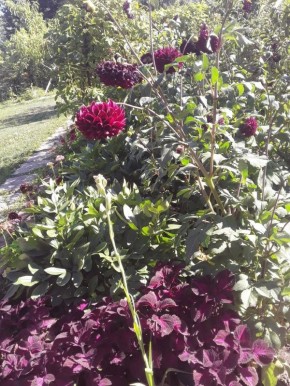 ��� �������� ���������: ������� �������� ������� � ����� ����