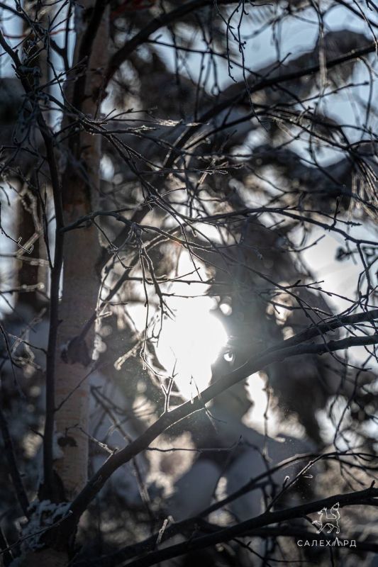 ���� ����� ��� ����� ���!