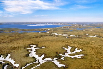 Борьба в плей-офф Чемпионата России начинается!