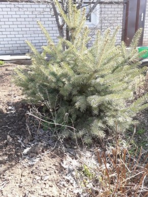 ����� � �������� �������� ��� ������� ���� � ������������ �� �����