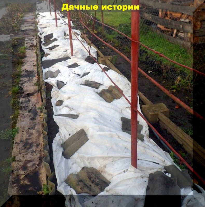 ���������� ������� � ����