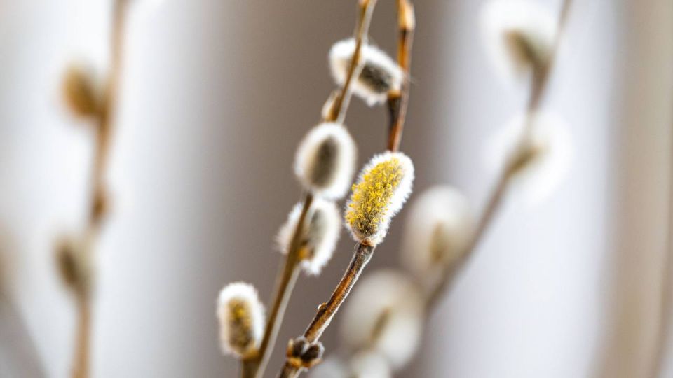 ������� ����������� � ���� �����, ������� � ����������