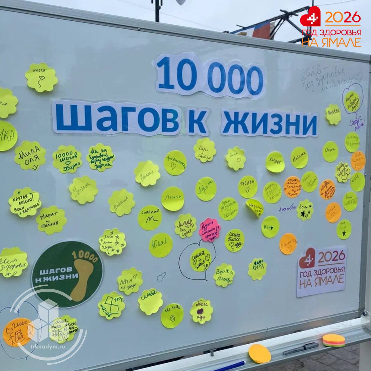 Надымчане и пангодинцы вышли на маршрут здоровья, присоединившись к международной акции «10 000 шагов к жизни» Надымчане и пангодинцы вышли на маршрут здоровья, присоединившись к международной акции «10 000 шагов к жизни»