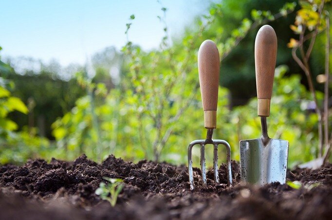 Осенние хлопоты для здорового сада: что важно сделать перед зимой