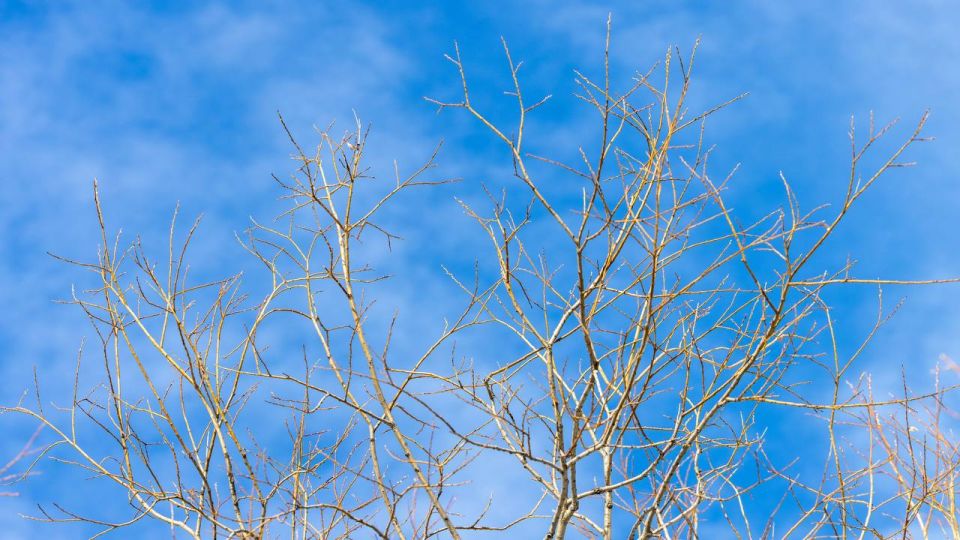 ������ ����, ��������!. �� ����� �����: 5�0�C, �� ��������� 11�7�C