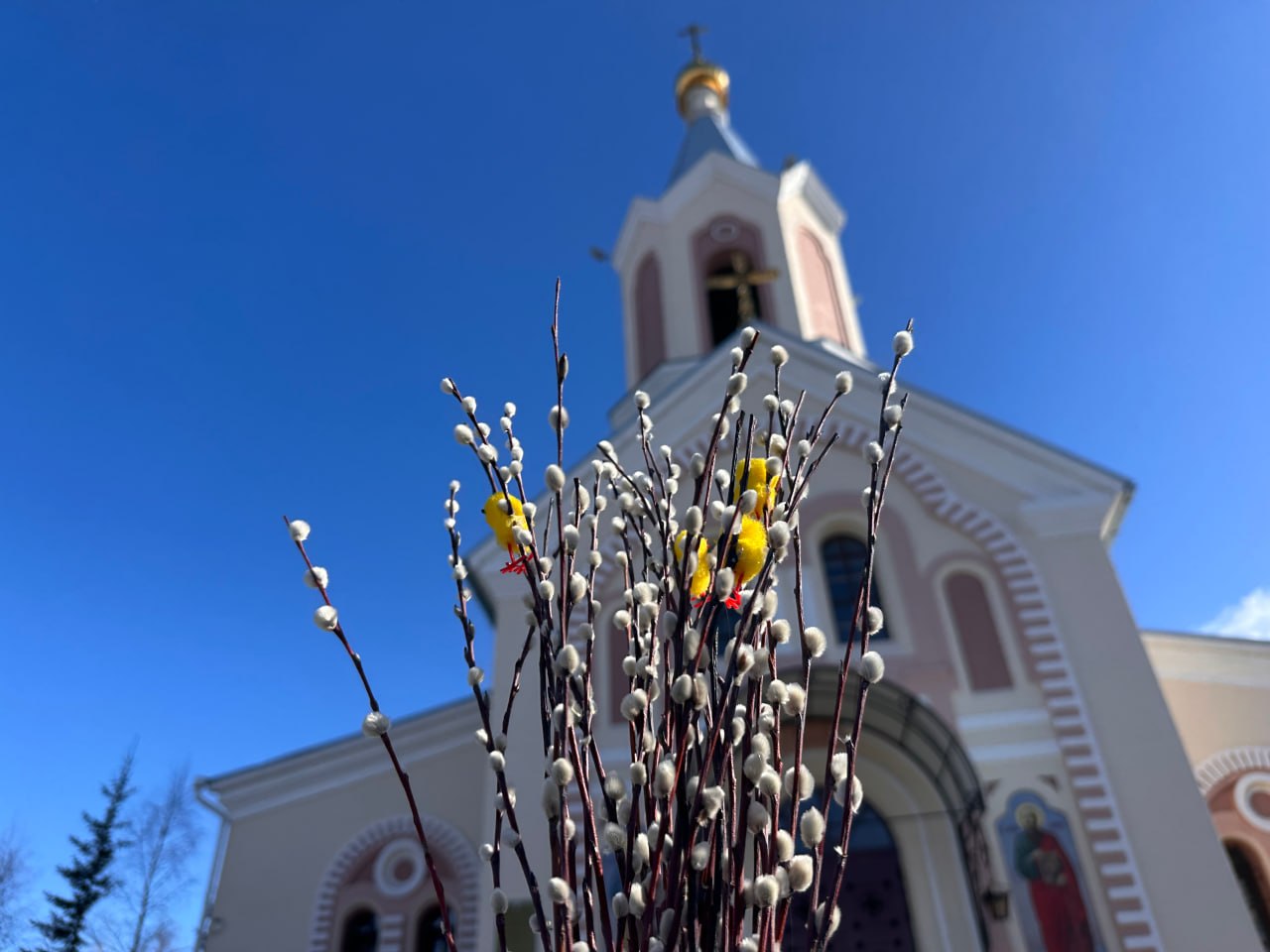 Православные христиане отмечают Вербное воскресенье Православные христиане отмечают Вербное воскресенье
