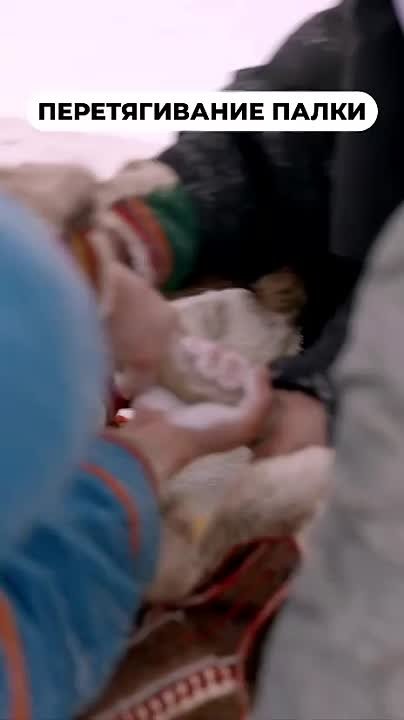 Тянем-потянем, вытянем победу