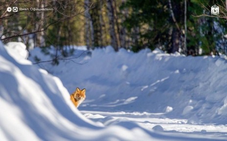 ��� �������, ��� ������ � �� ����������� ����� ������� ����������