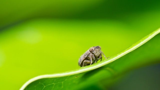 ��� �������� ���: ����������� ������ � ������ ���������