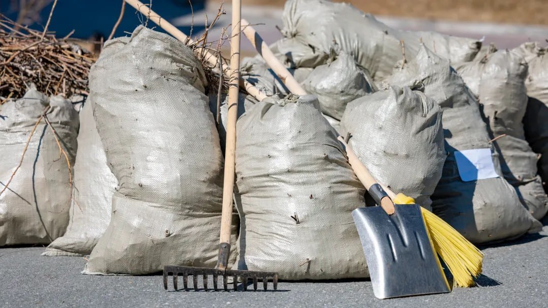 Леса Муравленко освободят от мусорных куч