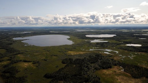 ��������� ���� ������ ���� ������� ������������ ���� � ������������ 11 ������