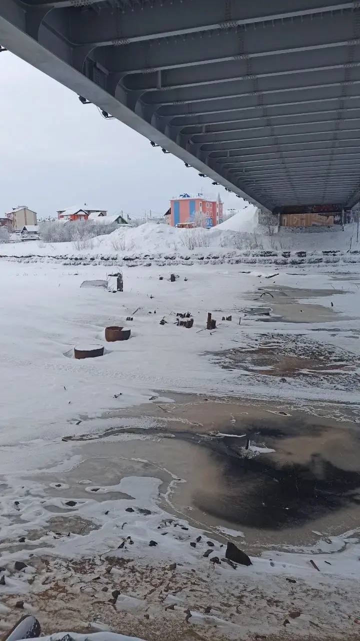 Первый этап очистки Преображенки: более 250 тонн мусора вывезено