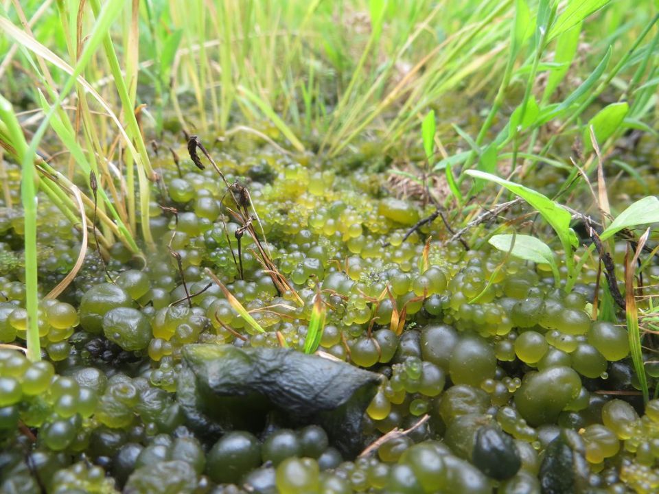 ���������� ���� �� ���: ��� ������ ������� ����� � ���� �����