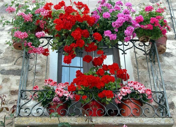 ����� �������� ��� ����: �������� ��� � ��������