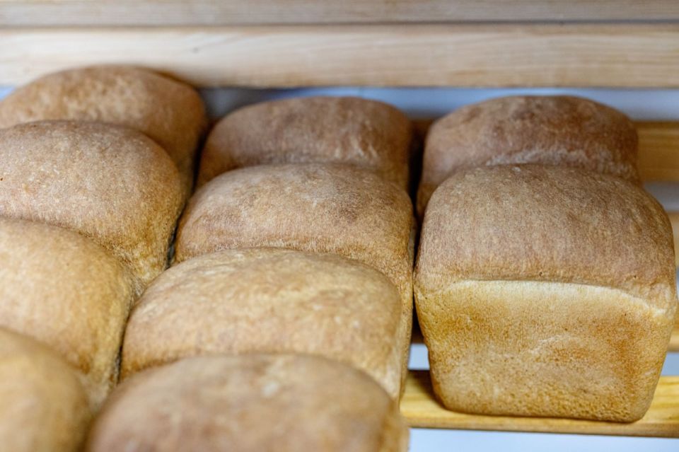 ���� ���� ����� ������� ������� � ��������������