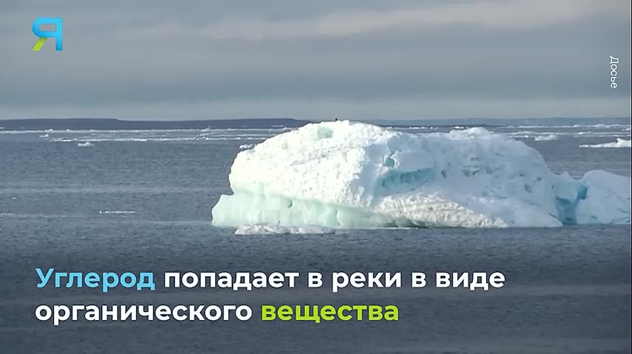 Арктика «разогревает» планету: учёные предупредили о новом факторе потепления