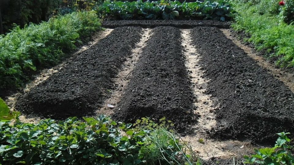 ��� ������� ������ � ������� ������������ ������� ������ �������