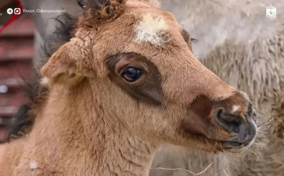 ������������ ����������: � ��������� ������� ��������� ��������