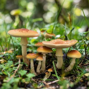 �������������� �� ����: ��� ���������� ������� � ��������� ������� ���������