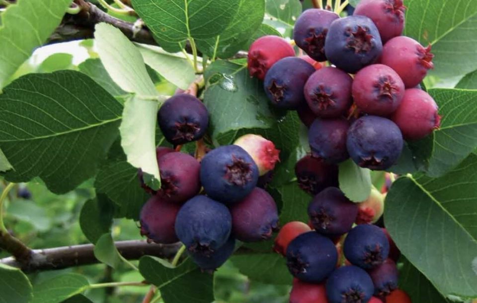 ����: �������� ��������� ��� ������ ����