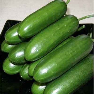 ������ ������: ������ ���� � ��������������� ��� ������