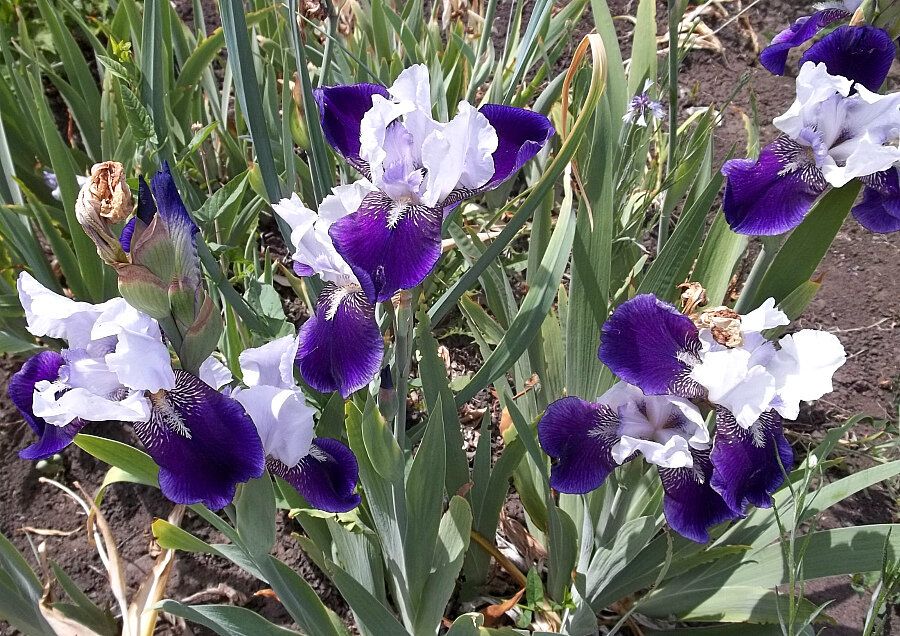 �������� �������: ��� ������ � ����� ���� � ��� ��������� �� ����������