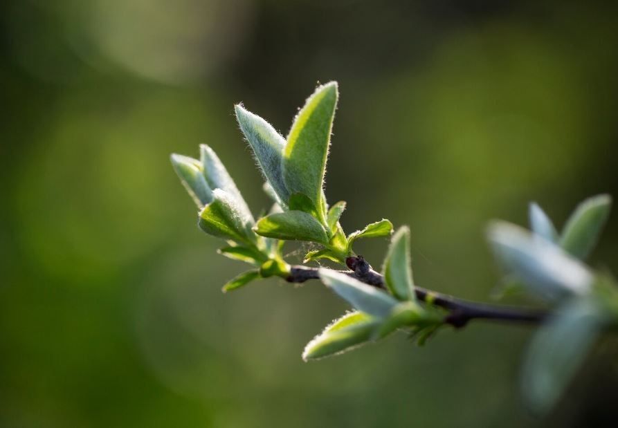 �������� ����� ����� �� ���� 18 ���