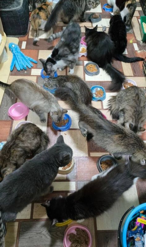 PS ������� ����� - 47 638�