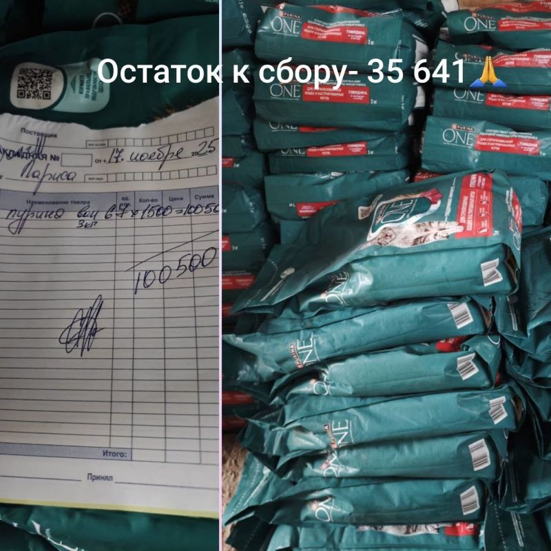 PS ������� ����� - 47 638�