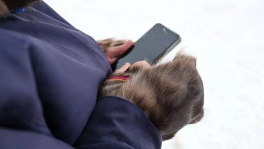 ��������� ������ ���� �� ���������� ���������